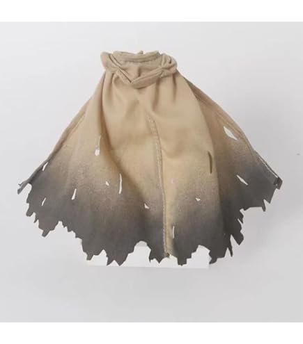 Amazon.co.jp: ZY-TOYS 1/6フィギュア用衣装 レディースフード付き